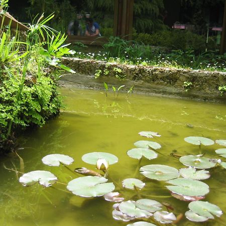 Hotel Chiar Di Luna Laino Borgo Dış mekan fotoğraf
